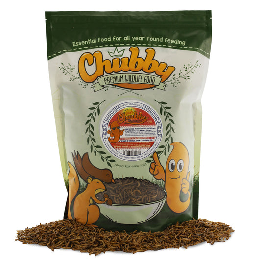 1Kg EU Grown Chubby Dried Mealworms