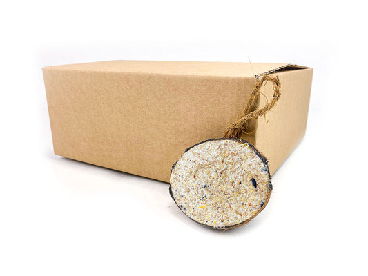 Pack of 10 Chubby Half Filled Coconut - Original