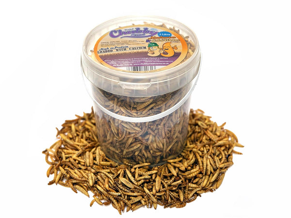 1 Litre Chubby Dried Mixes (Mealworms & Black Soldier Fly Larvae)