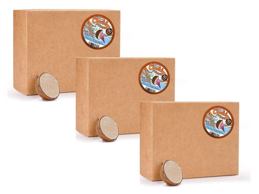 Box of 90 - Chubby Half Filled Coconuts - Original Flavour