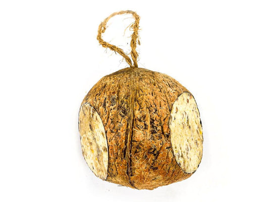 Box of 12 Chubby Whole Filled Coconut Wild Bird Food