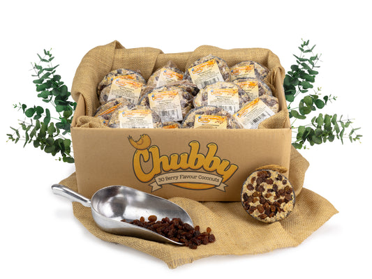 Box of 30 - Chubby Half Filled Coconuts - Raisin Topped