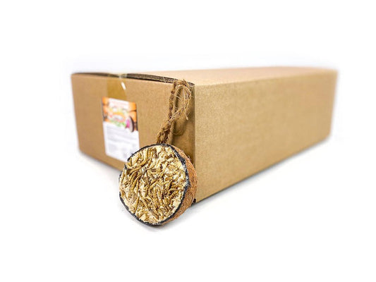 Box of 30 - Chubby Half Filled Coconuts - Mealworm Topped