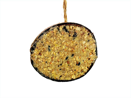 Chubby Sustainable Half Filled Coconut - Seed & Insect Oil