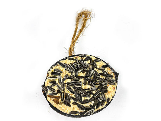 Chubby Half Filled Coconut - Topped with Sunflower Seeds