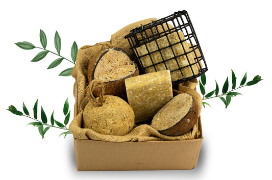 Chubby Sustainable Pecka Pack - Made With Seed & Black Soldier Fly Larvae Oil