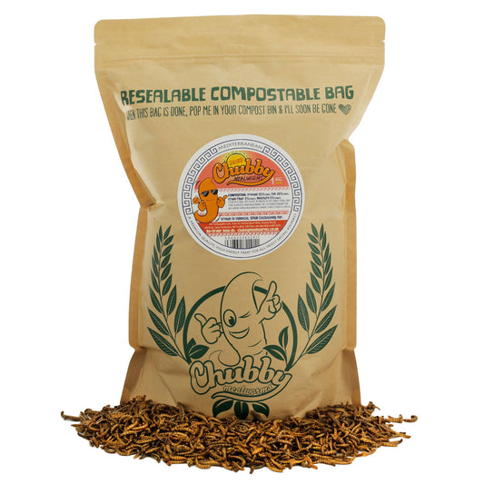 1Kg EU Grown Chubby Dried Mealworms High-quality EU-grown dried mealworms, not imported from China. Protein-rich food for hedgehogs, fish, and wild birds.