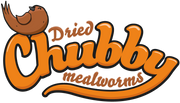 Chubby Mealworms UK