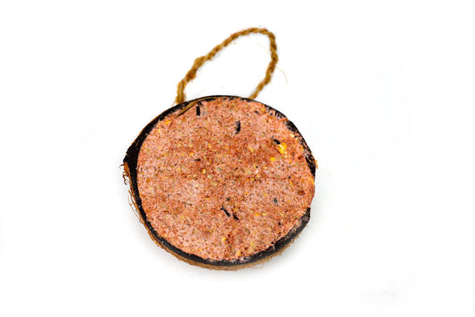 Pack of 10 Chubby Half Filled Coconut - Berry Flavour