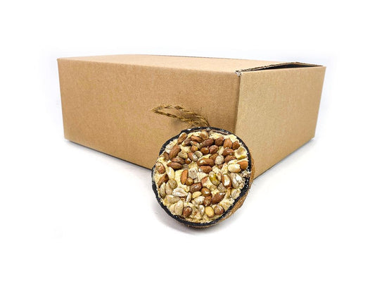 Pack of 10 Chubby Half Filled Coconuts - Peanut Topped