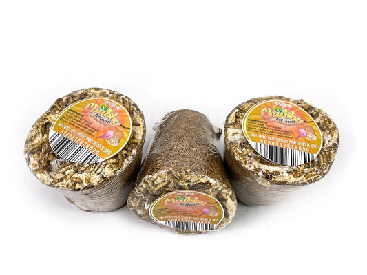 Chubby Filled Coconut Coir Bell - Mealworm Topped