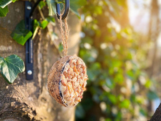 4 Mixed Chubby Half Filled Coconuts - Peanuts, Mealworms, Original, Raisin