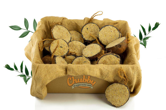 Box of 30 Chubby Half Filled Coconuts - Original Flavour