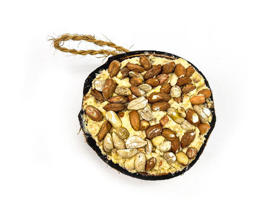 Box of 30 - Chubby Half Filled Coconuts - Peanut Topped