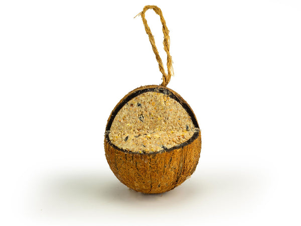Chubby Sustainable Quarter Cut Coconut - Made with insect oil
