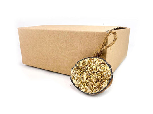 10 x Chubby Wild Bird Food Half Filled Coconut - Mealworm Topped