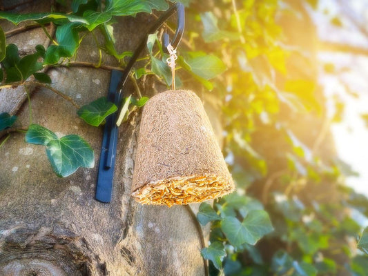 Box of 20 Chubby Filled Coconut Coir Bell - Mealworms