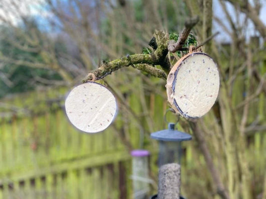 Box of 90 - Chubby Half Filled Coconuts - Original Flavour