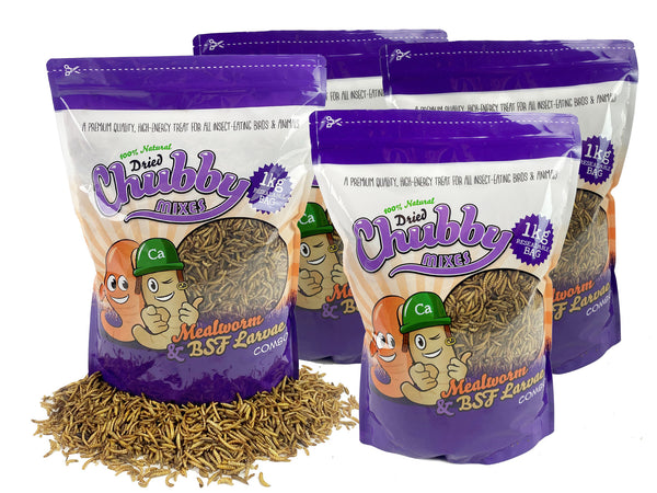 4Kg Dried Chubby Mixes (Mealworms & Black Soldier Fly Larvae)
