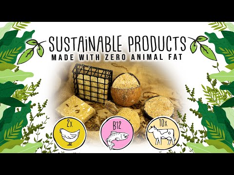 10 x Sustainable Half Filled Coconuts -  Seed & Insect Oil