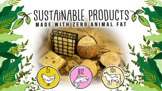 Box of 12 Sustainable Quarter Cut Coconuts - Made with insect oil