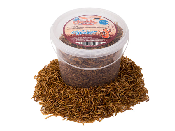 3 Litres Chubby Dried Mealworms