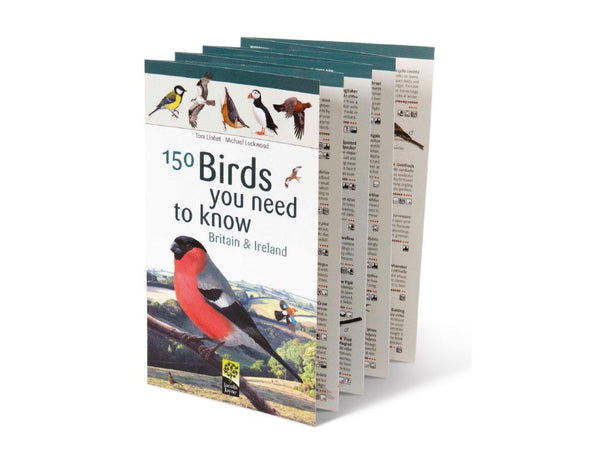 Jacobi Jayne 150 Birds You Need To Know