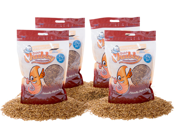 4Kg Dried Chubby Mealworms