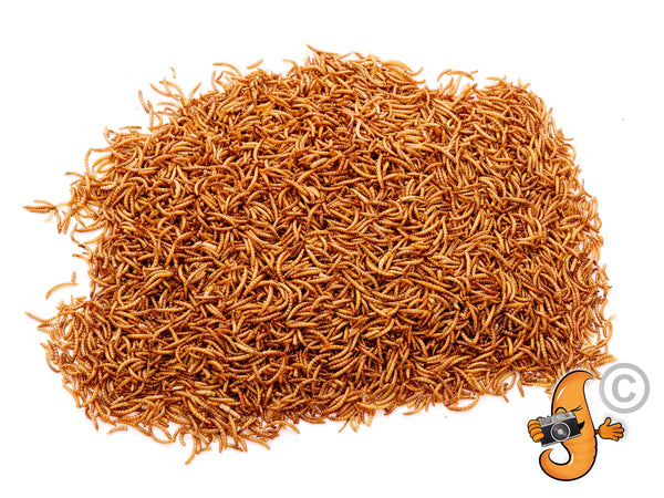 12.55Kg Bulk Bag Dried Mealworms