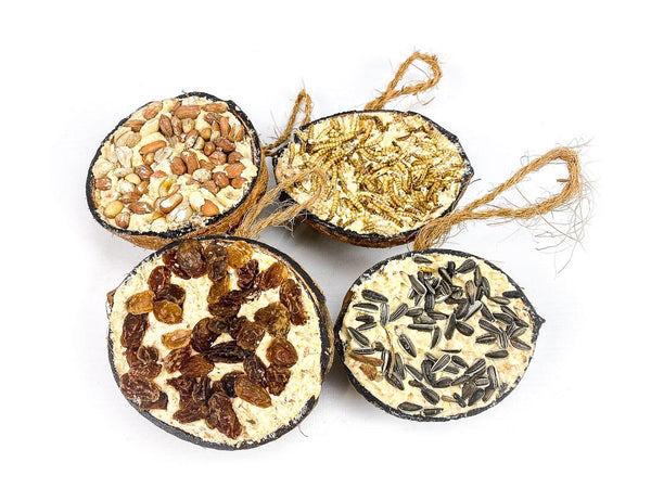 4 Mixed Chubby Half Filled Coconuts - Peanuts, Mealworms, Original, Raisin