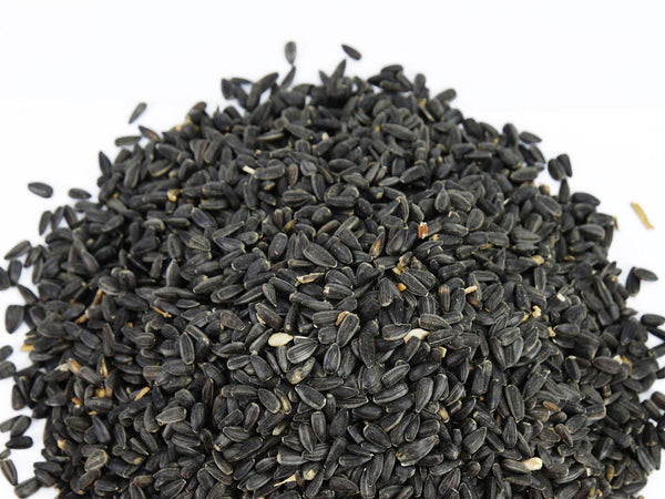 Chubby Bulk Premium Black Sunflower Seeds 20kg