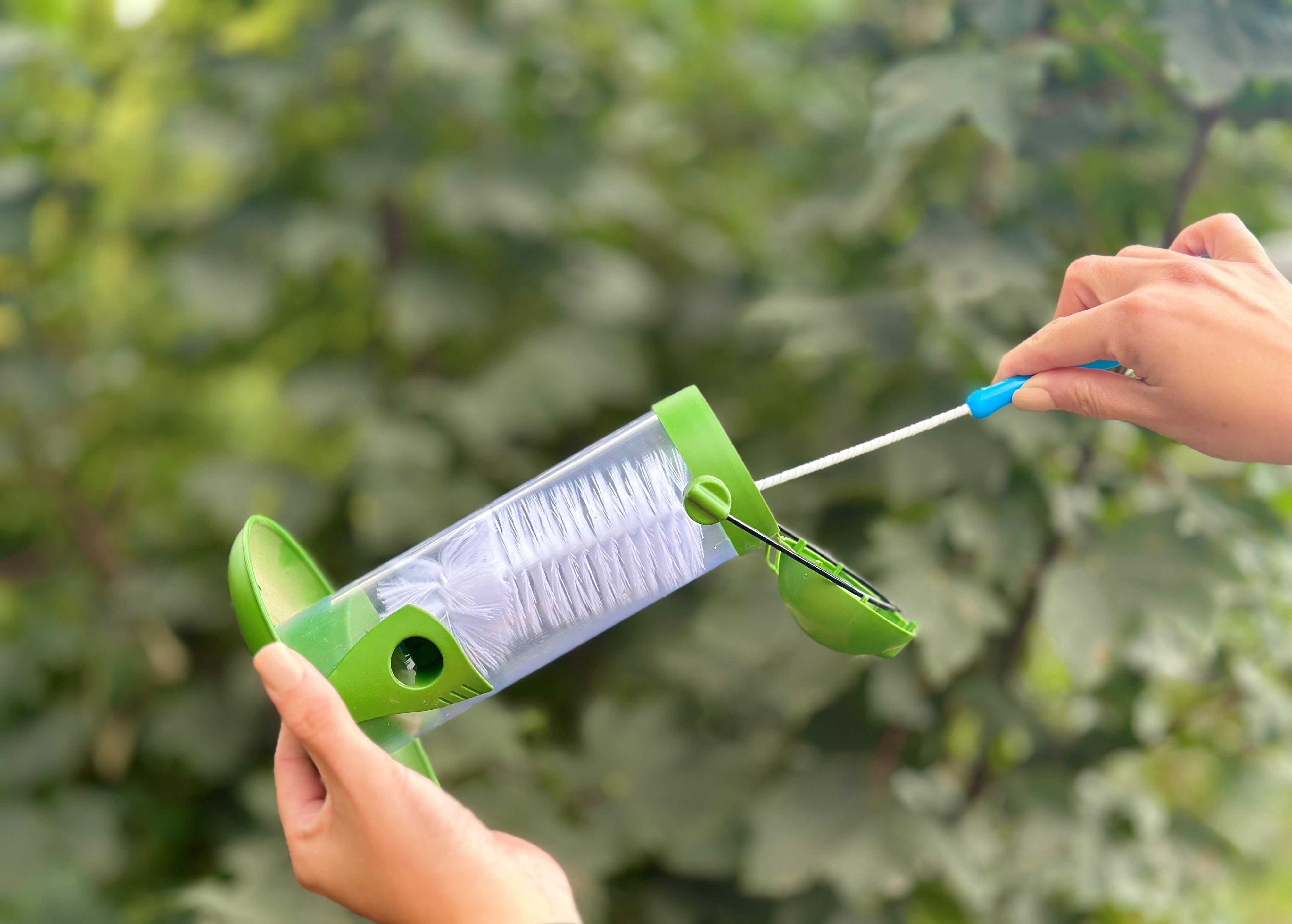 How to Clean and Maintain Your Bird Feeders | Chubby Mealworms UK