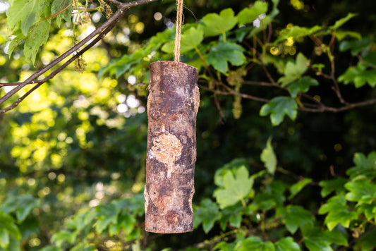 Suet Filled Natural Wooden 3 Hole Suet Log Feeder