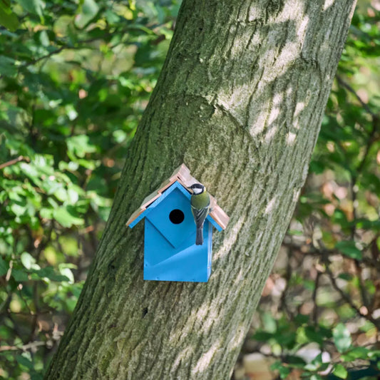 Diamond Nest Box 32mm - Blue