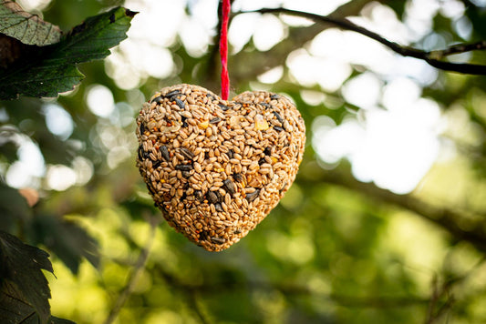 Chubby Hanging Seed Heart