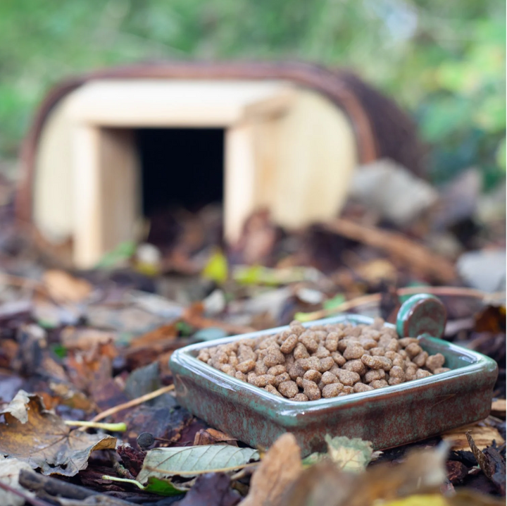 Close-up of the ceramic hedgehog snack bowl showing integral drainage hole and frost-resistant finish