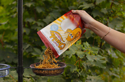 100g Chubby Dried Mealworms