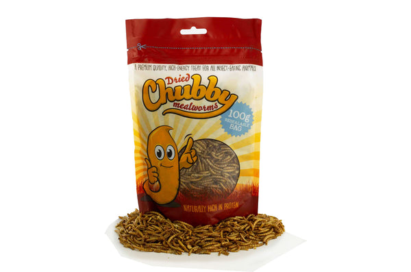 100g Chubby Dried Mealworms
