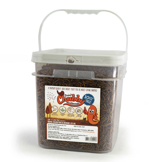 10 Litres Chubby Dried Mealworms (approx 1.85kg)