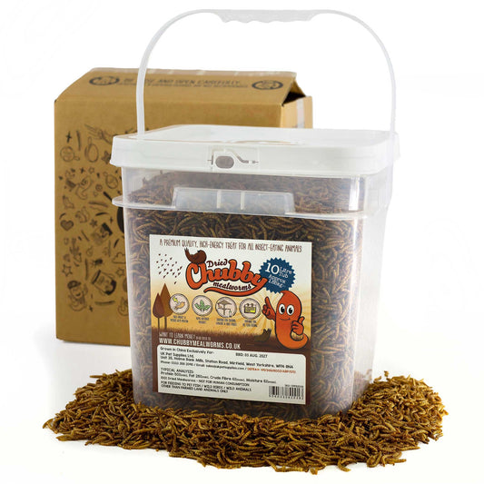 10 Litres Chubby Dried Mealworms (approx 1.85kg)