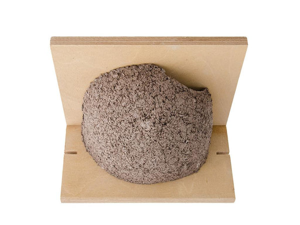 CJ Wildlife House Martin Single Right Nest