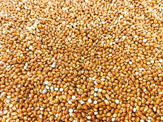 Chubby Red Millet For Wild Birds 1kg