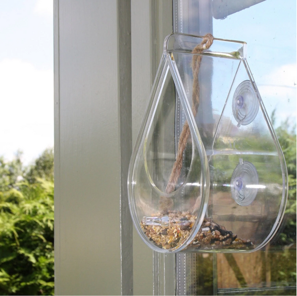 Wildlife World Dewdrop Window Bird Feeder attached to window with small birds feeding