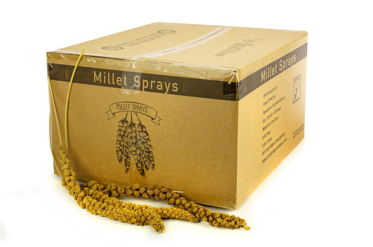 8Kg Chubby Millet Sprays For Birds