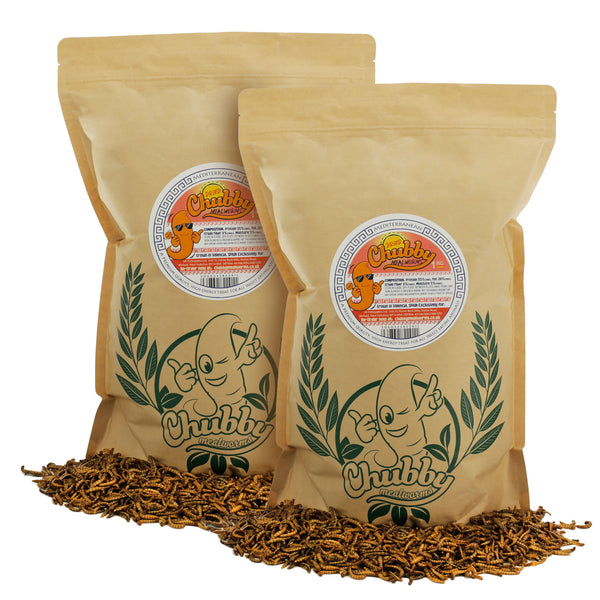 2Kg EU Grown Chubby Dried Mealworms