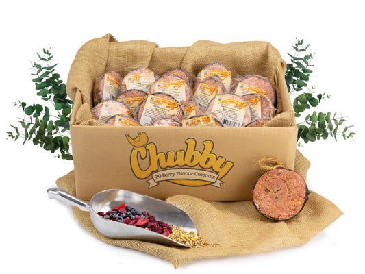 Box of 30 Chubby Half Filled Coconuts - Berry Flavour