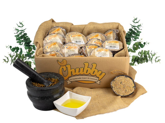Box of 30Chubby Sustainable Half Filled Coconuts - Insect Oil