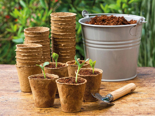 Fallen Fruits Biodegradable Round Fibre Grow Pot Tray Set of 12