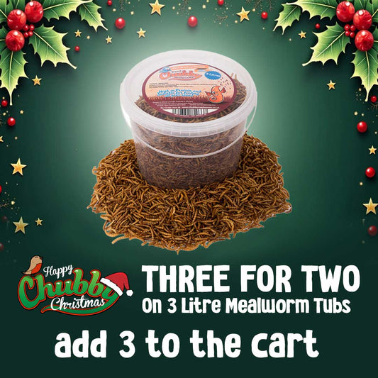 3 Litres Chubby Dried Mealworms