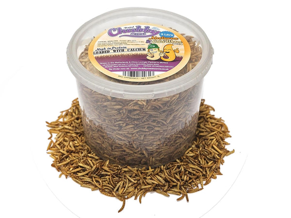 3 Litre Chubby Dried Mixes (Mealworms & Black Soldier Fly Larvae)